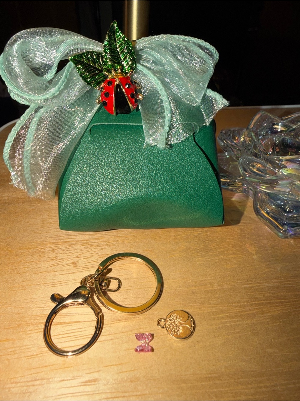Keychain bag with Ladybug brooch
